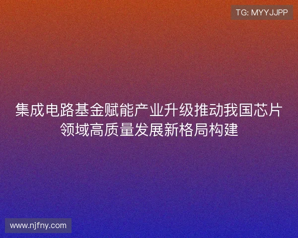集成电路基金赋能产业升级推动我国芯片领域高质量发展新格局构建